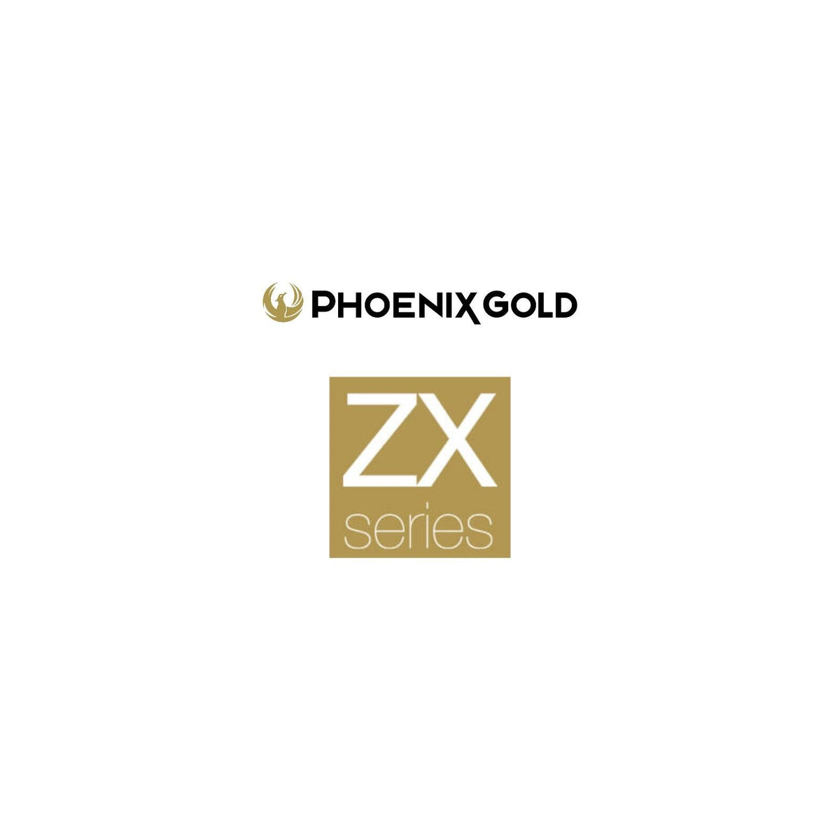 Phoenix Gold ZXM500.1 Amp ZX Series Class D Mono Mini Amplifier Remote Control